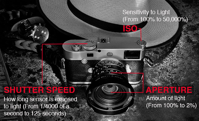 Thorsten Overgaard's Leica Photography Pages - The Leica D-Lux 7 Compact  Mirrorless Camera Review and User Report