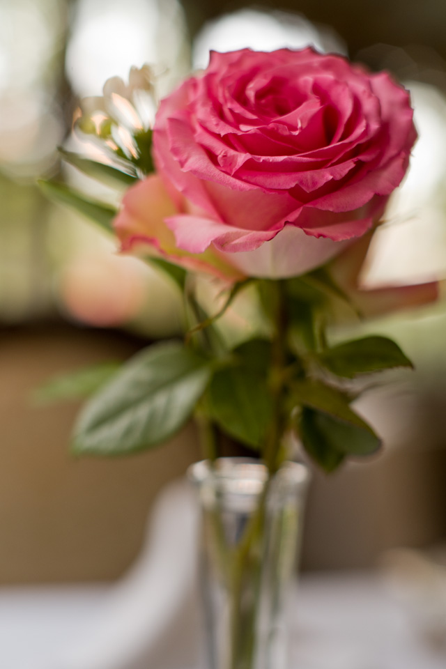 Macro photo of a rose using the Leica M10 with OUFRO macro adapter and Leica 50mm Noctilux-M ASPH f/0.95 FLE at f/2.0. © 2017 Thorsten Overgaard. 