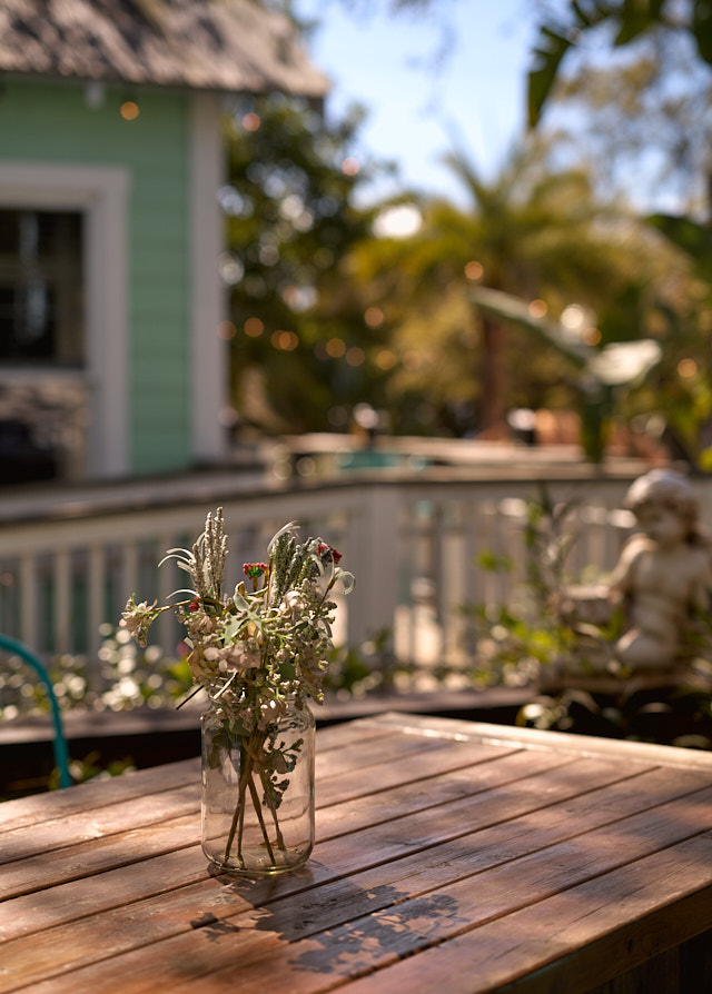 Lunchtime in Florida. Leica M11 wirth Leica 50mm APO-Summicron-M ASPH f/2.0. 64 ISO on 60MP DNG. © Thorsten Overgaard. 