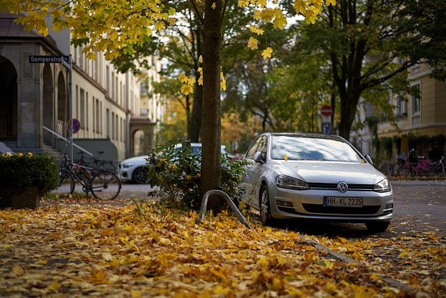 Hamburg autumn colors on a sunday. Leica M10-P with Leica 50mm Summilux-M ASPH f/1.4. © Thorsten von Overgaard. 