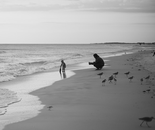 Clearwater Beach. Leica M10-P with Leica 50mm Summilux-M ASPH f/1.4 BC. © Thorsten Overgaard. 