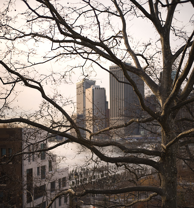 Manhatten seen from Brooklyn. Leica M10-P with Leica 50mm Summilux-M ASPH f/1.4. © Thorsten Overgaard. 
