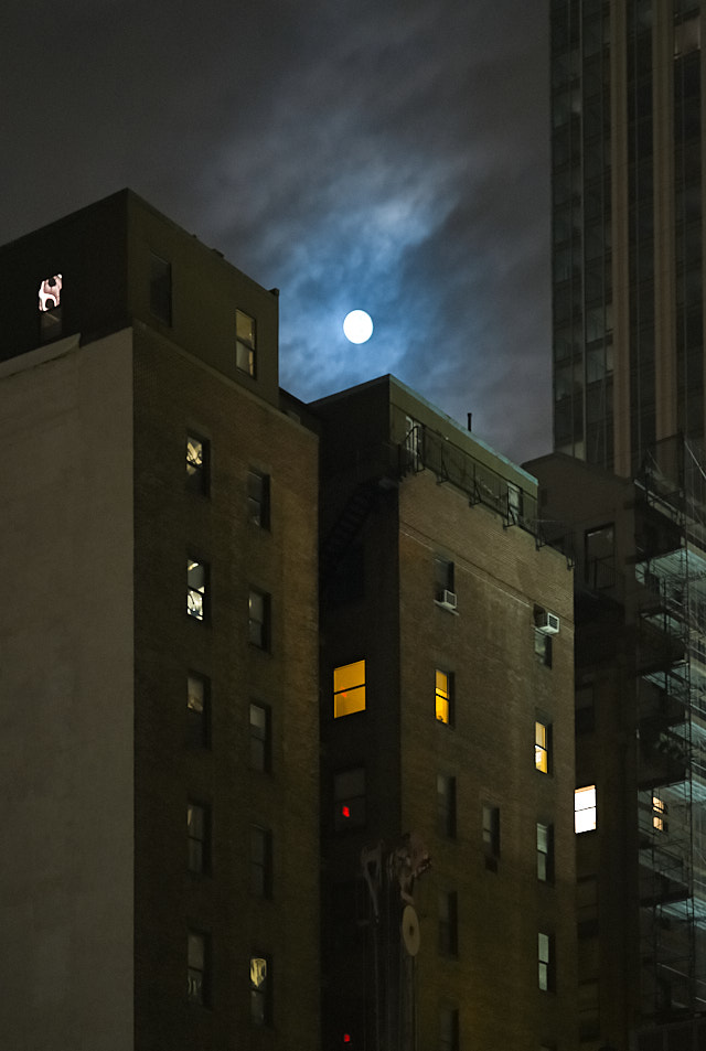 Manhattan at night. Leica M10-P with Leica 90mm Summilux-M ASPH f/1.5. © Thorsten Overgaard. 