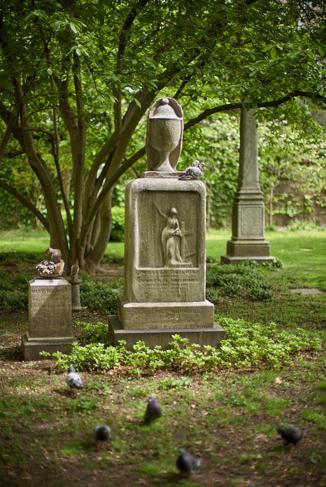 Who would have known? In the middle of Manhattan, on 2nd Street, suddenly there is this closed-to-the-public graveyard, The New York City Marble Cemetery, where the birds and squirrels enjoy the early sun in May. Leica M10-R with Leica 50mm Noctilux-M ASPH f/0.95. © Thorsten Overgaard. 