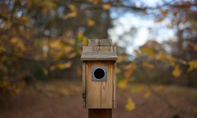 Nobody's home, but it does look nice in the park in Atlanta. Leica M10-R with Leica 50mm APO-Summicron-M ASPH f/2.0 LHSA. © Thorsten Overgaard.