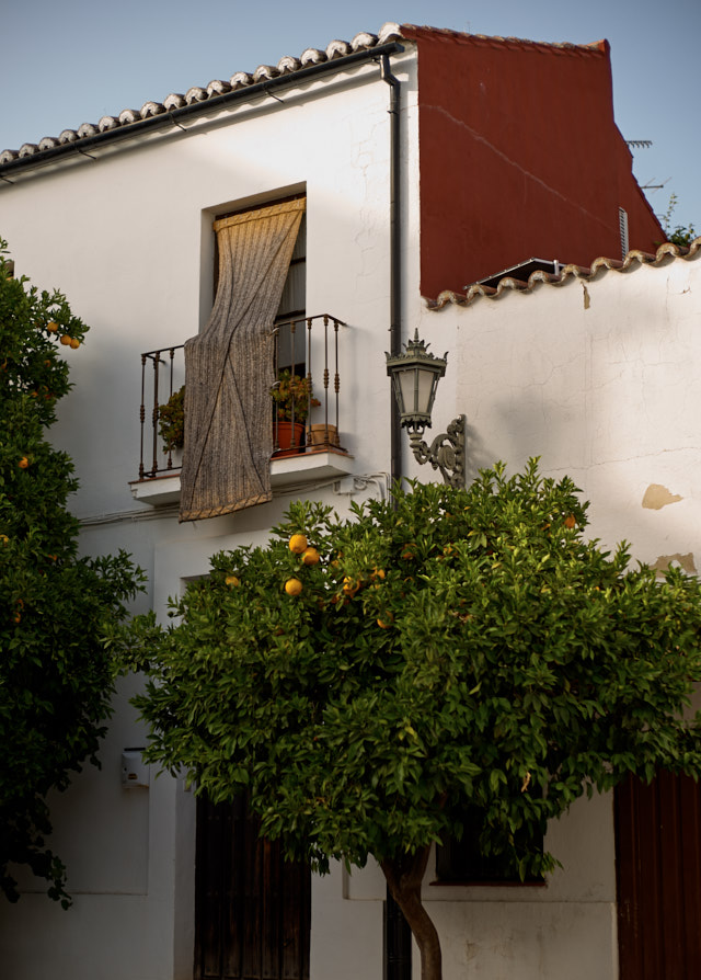 Siesta time in Spain. The hot time of the day when we go inside and take a nap and the city goes quiet for a while. Leica M10-P with Leica 50mm Noctilux-M ASPH f/0.95. © Thorsten Overgaard. 