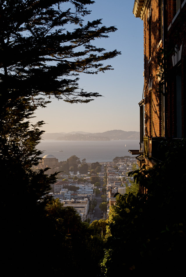 San Francisco. Leica M10-P Safari with Leica 50mm Summilux-M ASPH f/1.4 BC. © Thorsten Overgaard.