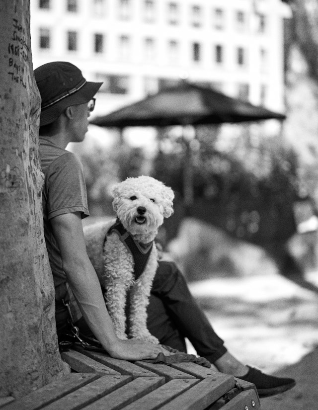 Enjoying the care-free life at Madison Square Park. Leica M10-P with Leica 50mm Summilux-M ASPH f/1.4 BC. © Thorsten Overgaard.