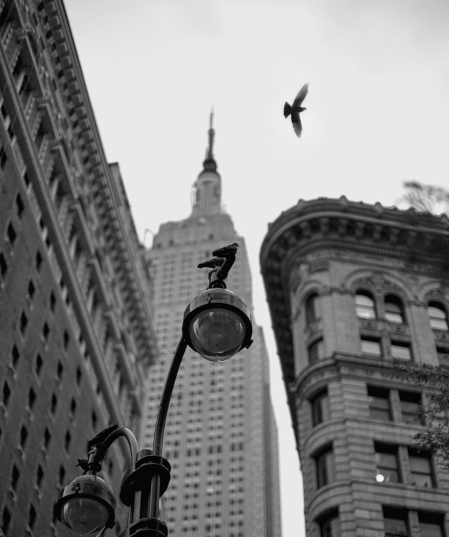 Monday morning in New York. Leica M10-P with Leica 50mm Noctilux-M ASPH f/0.95. © Thorsten Overgaard. 