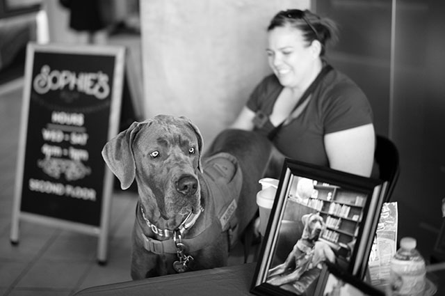 Dog exhibition in St. Louis, by Peter Tam from Hong Kong. Leica M240. 