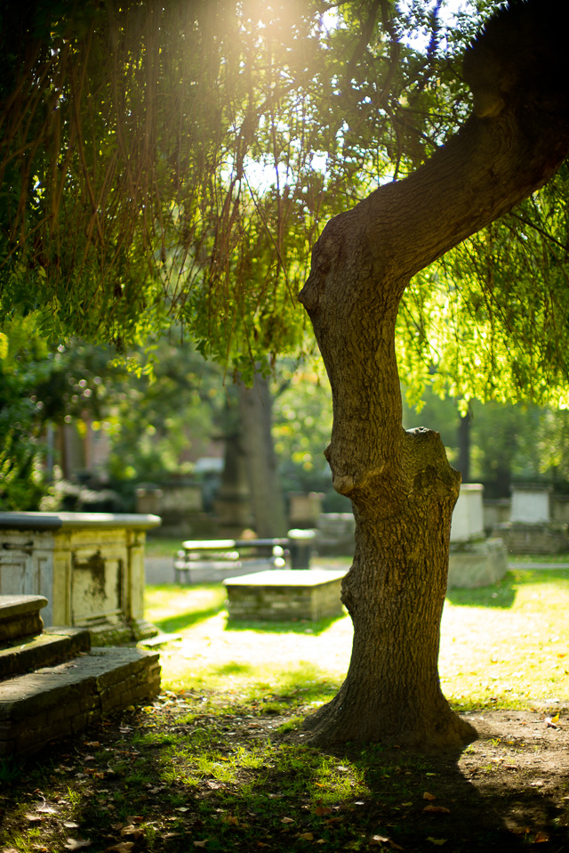 Saint George's Gardens in London. Leica M 240 with Leica 50mm Noctilux-M ASPH f/0.95. © 2015 Thorsten Overgaard.