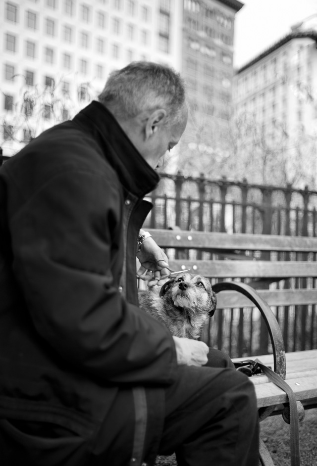 The man in the dog park. Leica 35mm Summilux-M ASPHERICAL F/1.4 AA. © Thorsten Overgaard. 