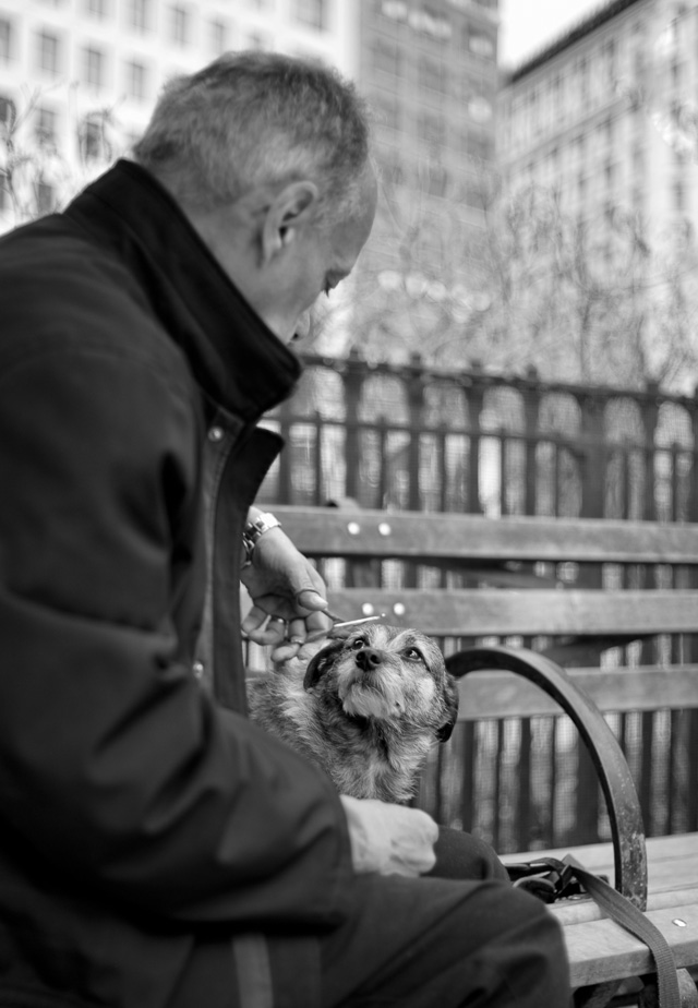 Getting a haircut in Madison Square Park, New York. Leica M 240 with Leica 35mm Summilux-M ASPHERICAL f/1.4 AA. © 2016 Thorsetn Overgaard. 