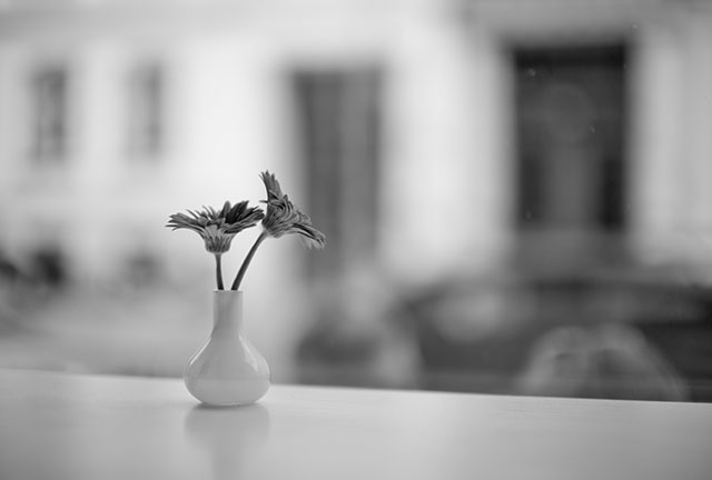 Flowers in Berlin. Leica M 246 Monochrom with Leica 50mm f/2.0. © Thorsten von Overgaard. 