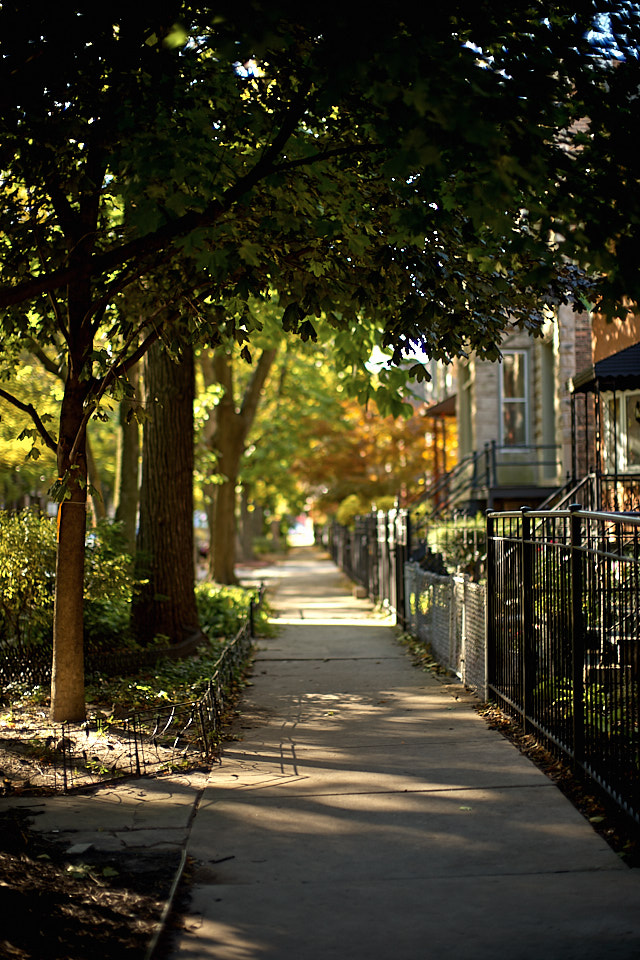 Chicago in the early AM. Leica M10-P with Leica 50mm Noctilux-M ASPH f/0.95. 