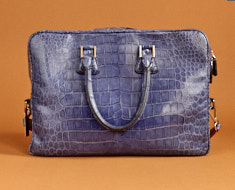 The Von "Blue Croc" Camera Bag/ Document Bag