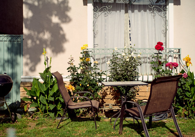 The life in the frontyard. Panasonic Lumix DC S1R with Leica 50mm Summilux-M ASPH f/1.4 BC. © Thorsten Overgaard. 