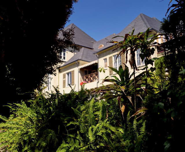 Leica Q2 with narrow Depth-of-Field: The plants are in focus, the house behind is out of focus. © Thorsten Overgaard. 