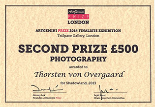 ArtGemini Prize 2014