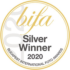 BIFA 2020 winner silver