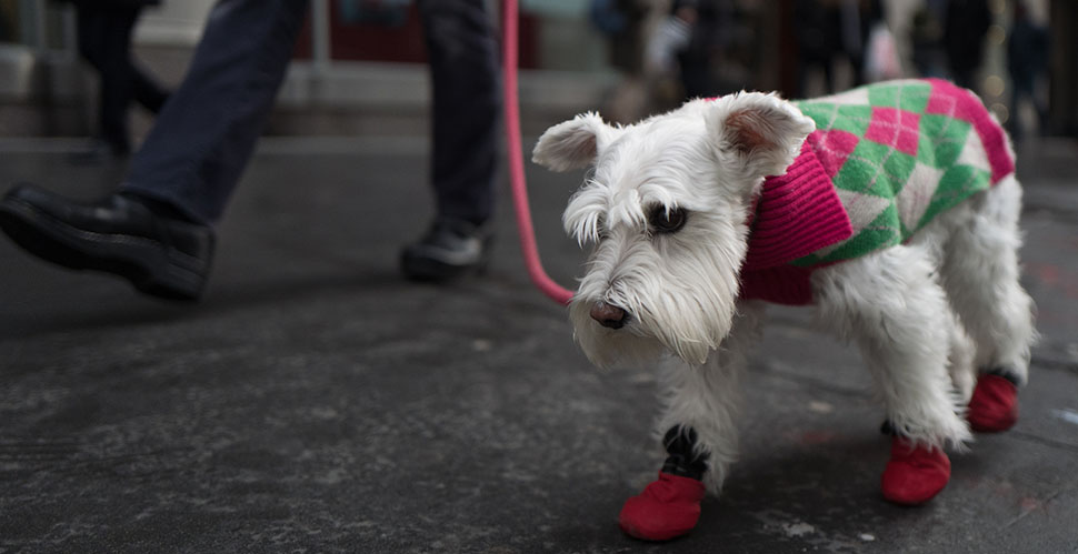 A very cool street photo by Alain Goulet, from the Overgaard Workshop in New York. © 2018 Alain Goulet. Leica Q. 