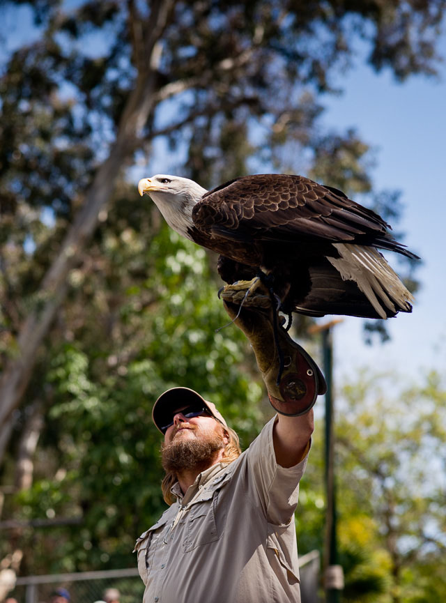 The ZOO in Los Angeles. Leica M 240 with Leica 90mm APO-Summicron-M ASPH f/2.0. © 2016 Thorsten Overgaard.