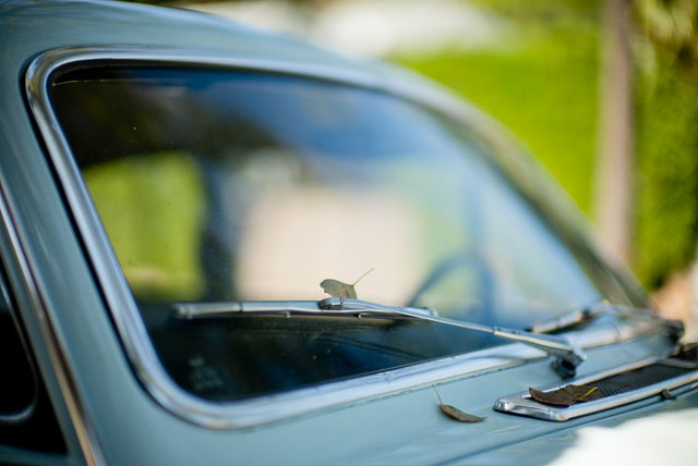 The car. Leica M 240 with Leica 50mm Noctilux-M ASPH f/0.95. © 2016 Thorsten Overgaard.