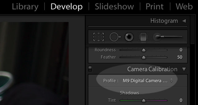 Finding the Camera Profile in Camera Calibration in Lightroom 2